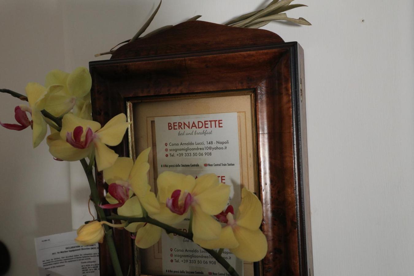 Bernadette Bed and Breakfast Neapel Exteriör bild